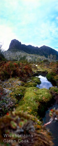 Alpine Garden Tas4-123